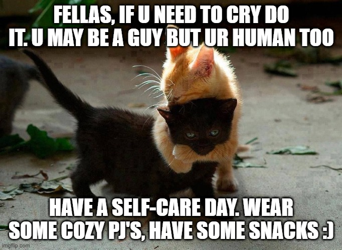 Coranavirus sucks, let's put some positivity into the world | FELLAS, IF U NEED TO CRY DO IT. U MAY BE A GUY BUT UR HUMAN TOO; HAVE A SELF-CARE DAY. WEAR SOME COZY PJ'S, HAVE SOME SNACKS :) | image tagged in kitten hug | made w/ Imgflip meme maker