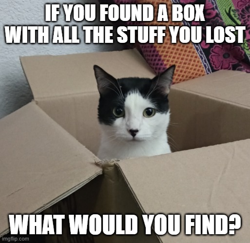 I found my sense of humor, but then i lost it again. | IF YOU FOUND A BOX WITH ALL THE STUFF YOU LOST; WHAT WOULD YOU FIND? | image tagged in the cat box | made w/ Imgflip meme maker