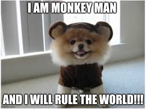 monkey boo | I AM MONKEY MAN; AND I WILL RULE THE WORLD!!! | image tagged in boo dog,is a monkey | made w/ Imgflip meme maker