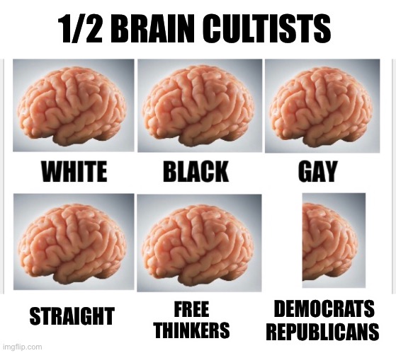 Party politics kills brain cells | 1/2 BRAIN CULTISTS; DEMOCRATS
REPUBLICANS; FREE 
THINKERS; STRAIGHT | image tagged in politics,republicans,democrats,hypocrisy,election,brain | made w/ Imgflip meme maker