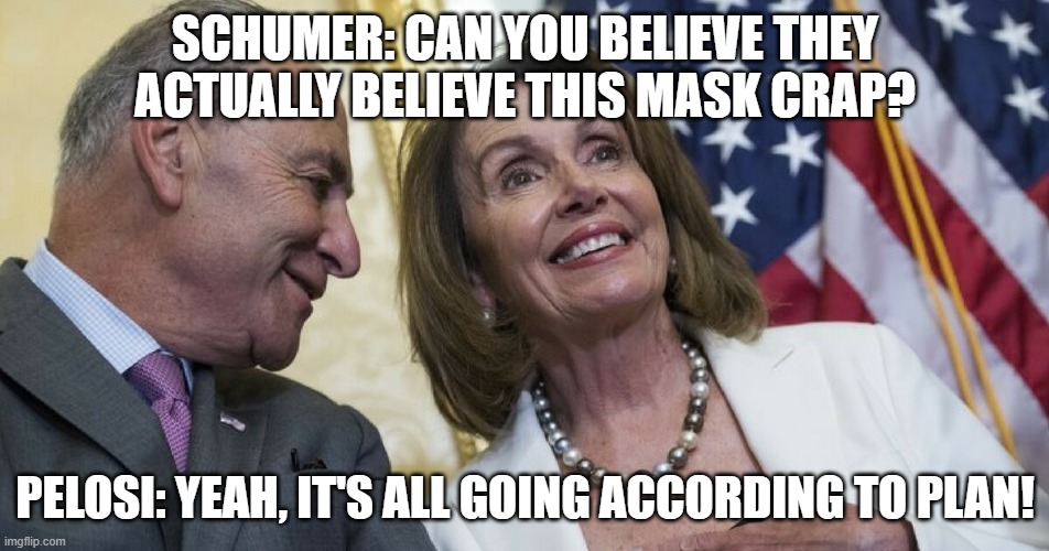 Laughing Democrats | SCHUMER: CAN YOU BELIEVE THEY ACTUALLY BELIEVE THIS MASK CRAP? PELOSI: YEAH, IT'S ALL GOING ACCORDING TO PLAN! | image tagged in laughing democrats | made w/ Imgflip meme maker