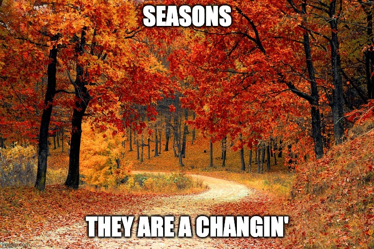 Road in Autumn | SEASONS; THEY ARE A CHANGIN' | image tagged in road in autumn | made w/ Imgflip meme maker
