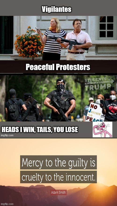 Peaceful Protesting Terrorist....the Non-Sequitur | image tagged in antifa,portland,riot,peaceful protest,democrats | made w/ Imgflip meme maker
