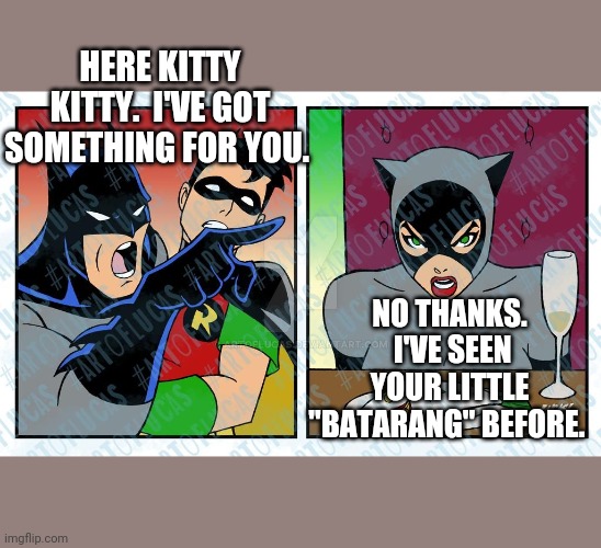 HERE KITTY KITTY.  I'VE GOT SOMETHING FOR YOU. NO THANKS.  I'VE SEEN YOUR LITTLE "BATARANG" BEFORE. | image tagged in batman and robin | made w/ Imgflip meme maker
