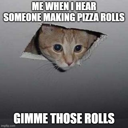 Ceiling Cat Meme | ME WHEN I HEAR SOMEONE MAKING PIZZA ROLLS; GIMME THOSE ROLLS | image tagged in memes,ceiling cat | made w/ Imgflip meme maker