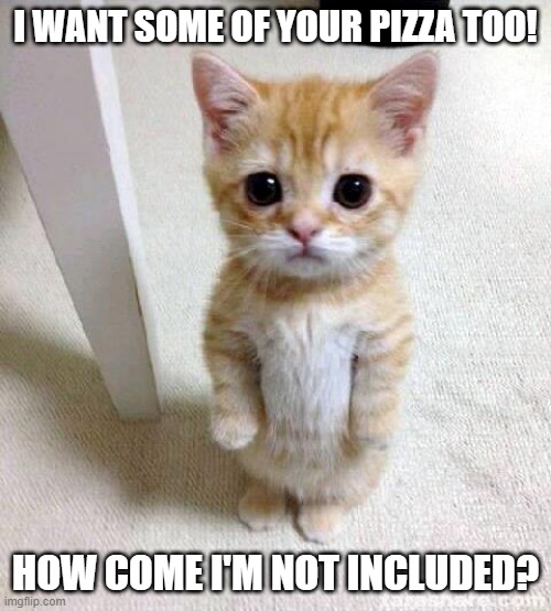 lol | I WANT SOME OF YOUR PIZZA TOO! HOW COME I'M NOT INCLUDED? | image tagged in memes,cute cat,funny,pizza,animals,family | made w/ Imgflip meme maker