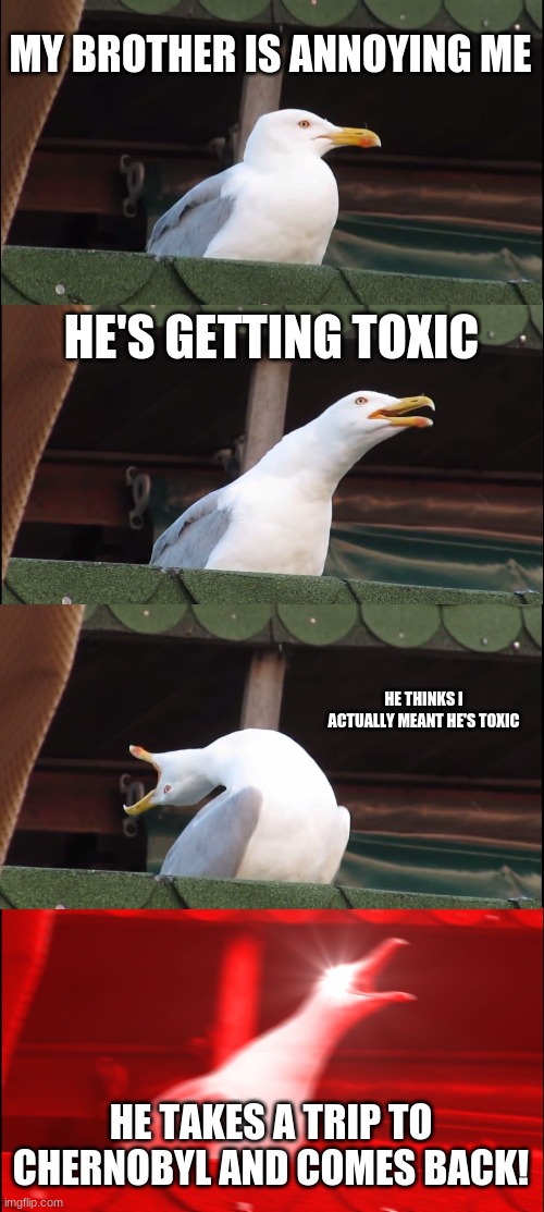 Toxicity+Annoyance | MY BROTHER IS ANNOYING ME; HE'S GETTING TOXIC; HE THINKS I ACTUALLY MEANT HE'S TOXIC; HE TAKES A TRIP TO CHERNOBYL AND COMES BACK! | image tagged in memes,inhaling seagull,chernobyl | made w/ Imgflip meme maker