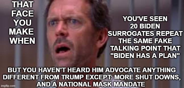 Biden Has a Plan | THAT
FACE
YOU
MAKE 
WHEN; YOU'VE SEEN 20 BIDEN SURROGATES REPEAT THE SAME FAKE TALKING POINT THAT "BIDEN HAS A PLAN"; BUT YOU HAVEN'T HEARD HIM ADVOCATE ANYTHING
 DIFFERENT FROM TRUMP EXCEPT: MORE SHUT DOWNS, 
AND A NATIONAL MASK MANDATE | image tagged in biden plan,biden mask,biden shutdown,biden sucks,trump 2020,biden campaign | made w/ Imgflip meme maker