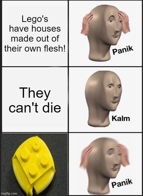 Lego's destiny | Lego's have houses made out of their own flesh! They can't die | image tagged in memes,panik kalm panik | made w/ Imgflip meme maker