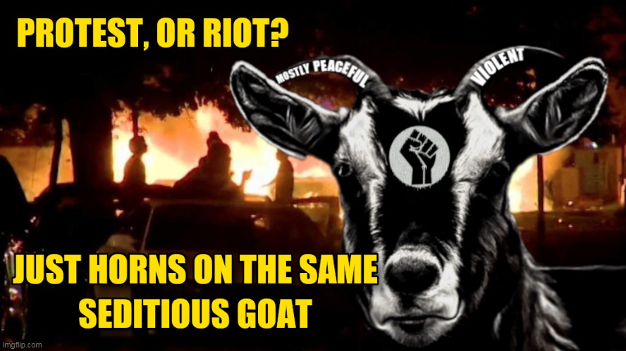 Horns On The Same Goat | image tagged in blm,mostly peaceful,violent,riots,protests | made w/ Imgflip meme maker