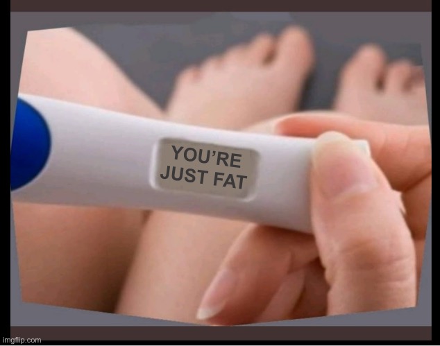 Don’t buy a pregnancy test from Dollar General | YOU’RE JUST FAT | image tagged in pregnancy test,positive,fat,diss,truth,memes | made w/ Imgflip meme maker