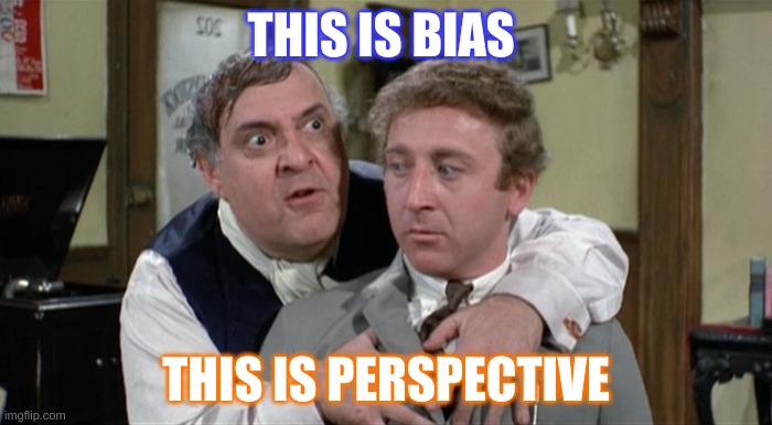 Bialistock & Bloom | THIS IS BIAS; THIS IS PERSPECTIVE | image tagged in bialistock bloom | made w/ Imgflip meme maker