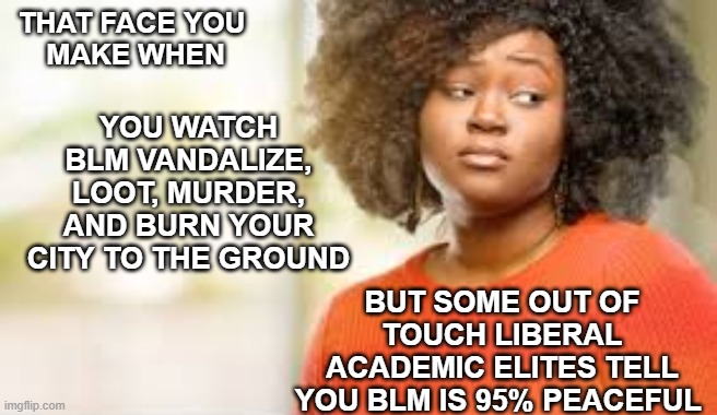 "Peaceful Protestors" Part Two | THAT FACE YOU
 MAKE WHEN; YOU WATCH BLM VANDALIZE, LOOT, MURDER, AND BURN YOUR CITY TO THE GROUND; BUT SOME OUT OF TOUCH LIBERAL ACADEMIC ELITES TELL YOU BLM IS 95% PEACEFUL | image tagged in looting,arson,riots,blm,rioters,peaceful protestor | made w/ Imgflip meme maker