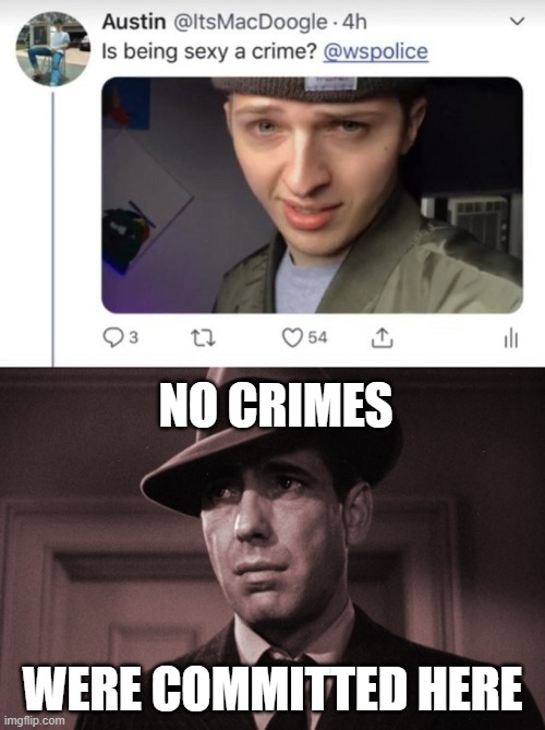Criminal | NO CRIMES; WERE COMMITTED HERE | image tagged in funny memes | made w/ Imgflip meme maker