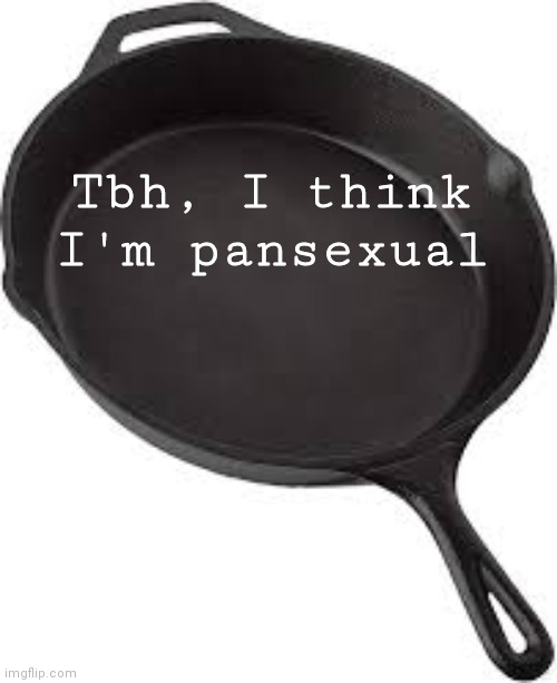 Pansexuals will understand | Tbh, I think I'm pansexual | image tagged in pansexuals will understand | made w/ Imgflip meme maker