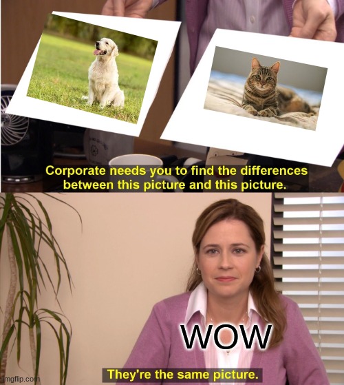 They're The Same Picture | WOW | image tagged in memes,they're the same picture | made w/ Imgflip meme maker
