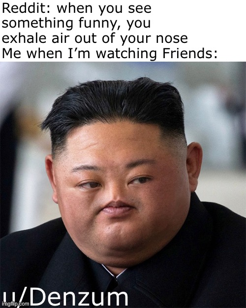 Or any shows with laughtracks | Reddit: when you see something funny, you exhale air out of your nose
Me when I’m watching Friends:; u/Denzum | image tagged in noseless kim jong un | made w/ Imgflip meme maker