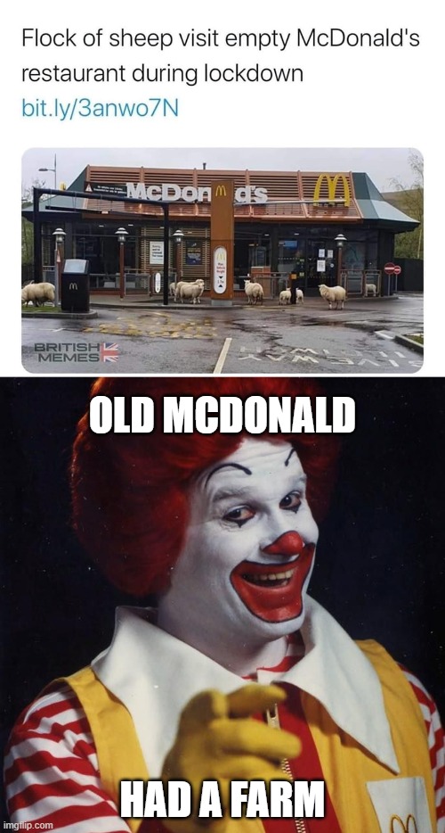 Old Mac | OLD MCDONALD; HAD A FARM | image tagged in funny memes | made w/ Imgflip meme maker