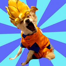 High Quality Saiyan Dog Blank Meme Template