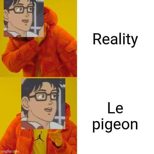 Drake Hotline Bling Meme | Reality; Le pigeon | image tagged in memes,drake hotline bling,is this a pigeon,reality,what are memes | made w/ Imgflip meme maker