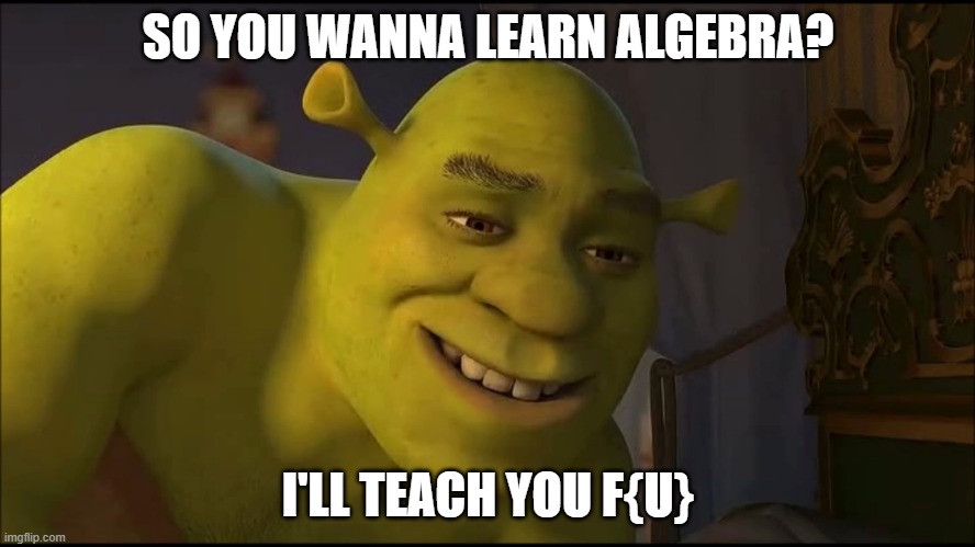 Cursed Algebra |  SO YOU WANNA LEARN ALGEBRA? I'LL TEACH YOU F{U} | image tagged in sexy shrek | made w/ Imgflip meme maker
