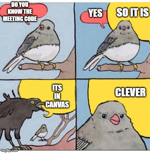 Create your meme | DO YOU KNOW THE MEETING CODE; SO IT IS; YES; ITS IN CANVAS; CLEVER | image tagged in annoyed bird | made w/ Imgflip meme maker