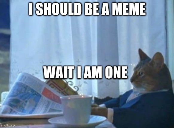 When you realize you're part of something important. | I SHOULD BE A MEME; WAIT I AM ONE | image tagged in memes,i should buy a boat cat | made w/ Imgflip meme maker