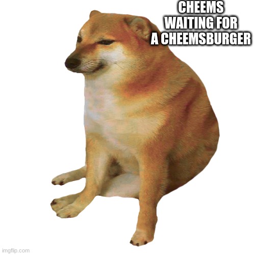 Give Cheems his cheemsburger | CHEEMS WAITING FOR A CHEEMSBURGER | image tagged in cheems | made w/ Imgflip meme maker