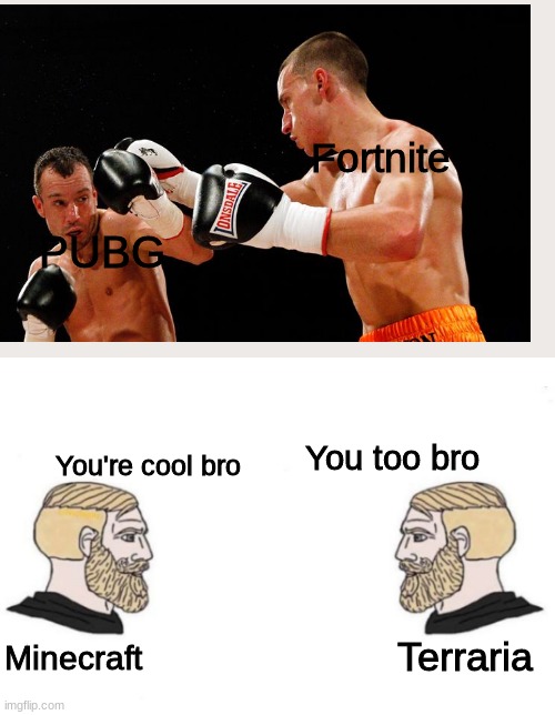 Yes Chad | Fortnite; PUBG; You too bro; You're cool bro; Terraria; Minecraft | image tagged in double yes chad | made w/ Imgflip meme maker