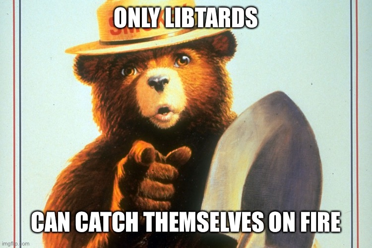 Smokey Bear | ONLY LIBTARDS CAN CATCH THEMSELVES ON FIRE | image tagged in smokey bear | made w/ Imgflip meme maker