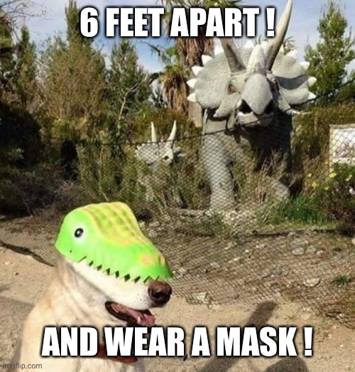 Dog in a dinosaur mask | 6 FEET APART ! AND WEAR A MASK ! | image tagged in dog in a dinosaur mask | made w/ Imgflip meme maker