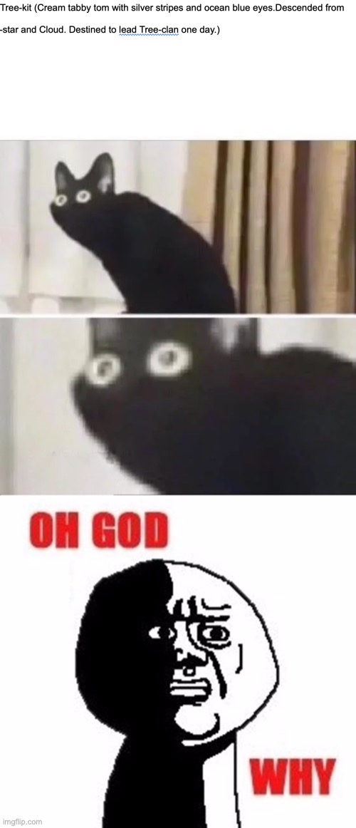 My warriors RP | image tagged in oh god why,oh no black cat | made w/ Imgflip meme maker