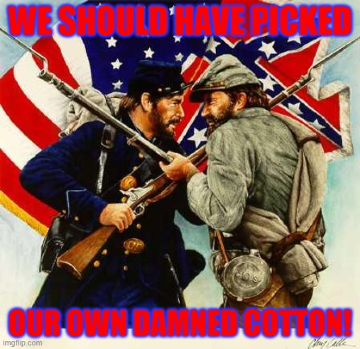 Civil War Soldiers | WE SHOULD HAVE PICKED OUR OWN DAMNED COTTON! | image tagged in civil war soldiers | made w/ Imgflip meme maker
