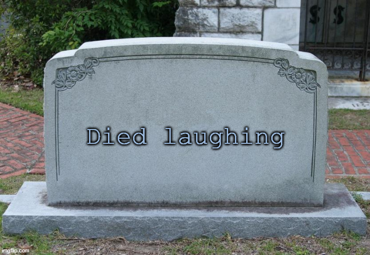 Gravestone | Died laughing | image tagged in gravestone | made w/ Imgflip meme maker