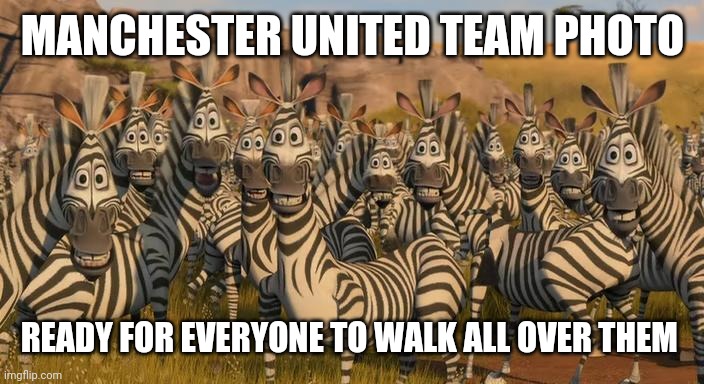 Madagascar | MANCHESTER UNITED TEAM PHOTO; READY FOR EVERYONE TO WALK ALL OVER THEM | image tagged in madagascar | made w/ Imgflip meme maker