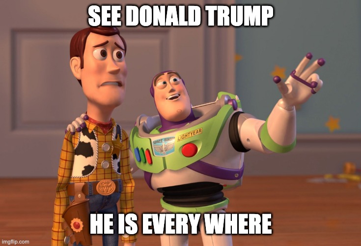 X, X Everywhere |  SEE DONALD TRUMP; HE IS EVERY WHERE | image tagged in memes,x x everywhere | made w/ Imgflip meme maker