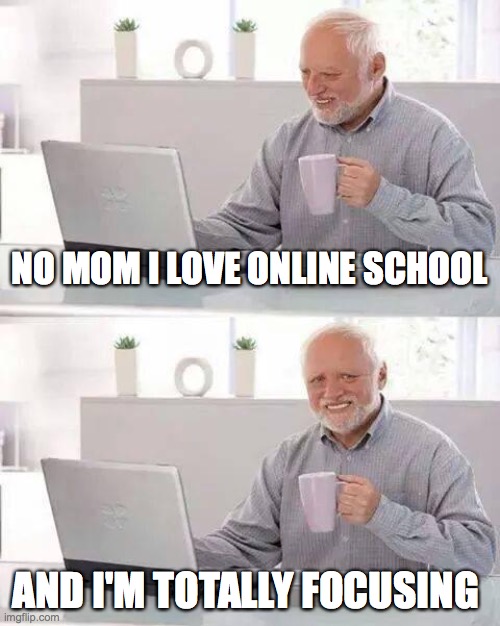 Hide the Pain Harold | NO MOM I LOVE ONLINE SCHOOL; AND I'M TOTALLY FOCUSING | image tagged in memes,hide the pain harold | made w/ Imgflip meme maker