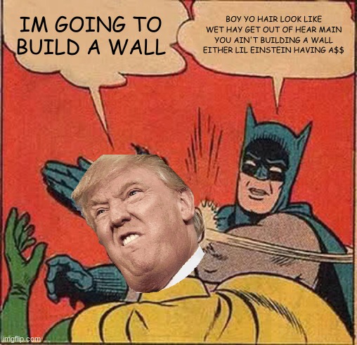Batman Slapping Robin | IM GOING TO BUILD A WALL; BOY YO HAIR LOOK LIKE WET HAY GET OUT OF HEAR MAIN YOU AIN'T BUILDING A WALL EITHER LIL EINSTEIN HAVING A$$ | image tagged in memes,batman slapping robin | made w/ Imgflip meme maker