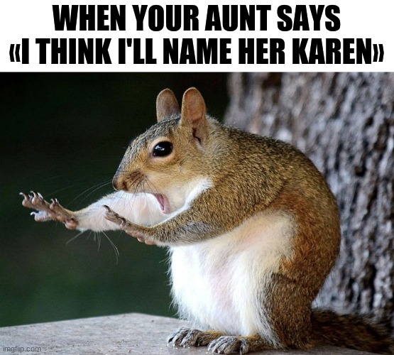 Don't name her Karen | WHEN YOUR AUNT SAYS
«I THINK I'LL NAME HER KAREN» | image tagged in karen,squirrel | made w/ Imgflip meme maker