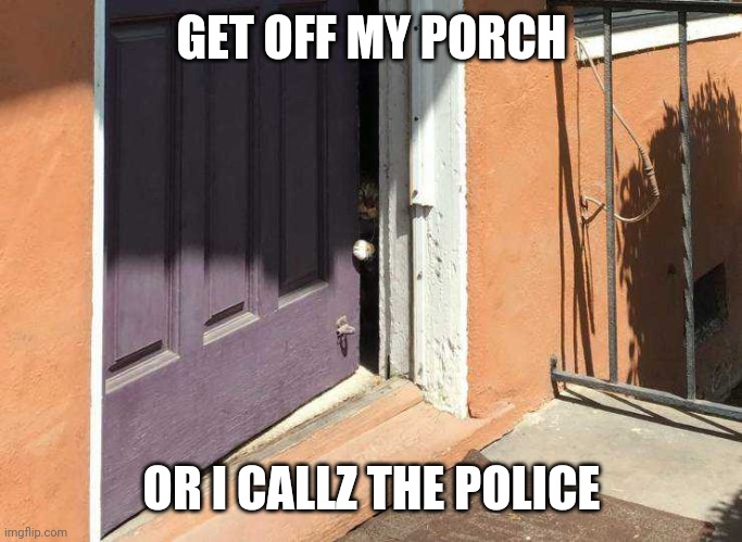 KITTY NOT LETTING ANYONE IN | GET OFF MY PORCH; OR I CALLZ THE POLICE | image tagged in cats,funny cats | made w/ Imgflip meme maker