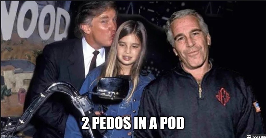 Trump and Epstein | 2 PEDOS IN A POD | image tagged in trump and epstein | made w/ Imgflip meme maker