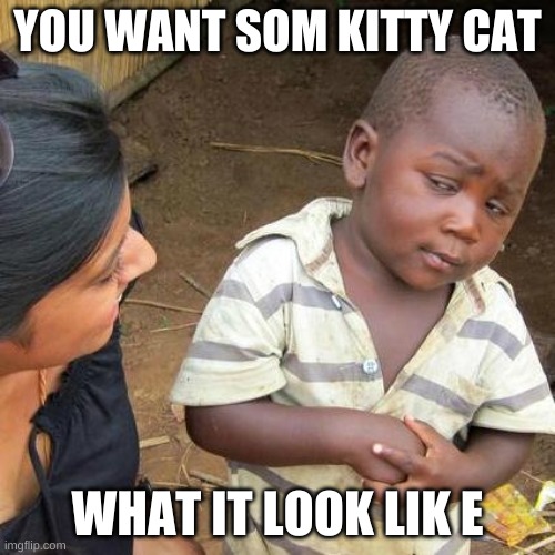 Third World Skeptical Kid | YOU WANT SOM KITTY CAT; WHAT IT LOOK LIK E | image tagged in memes,third world skeptical kid | made w/ Imgflip meme maker