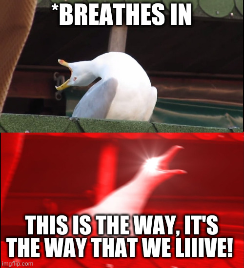 Screaming bird | *BREATHES IN; THIS IS THE WAY, IT'S THE WAY THAT WE LIIIVE! | image tagged in screaming bird | made w/ Imgflip meme maker