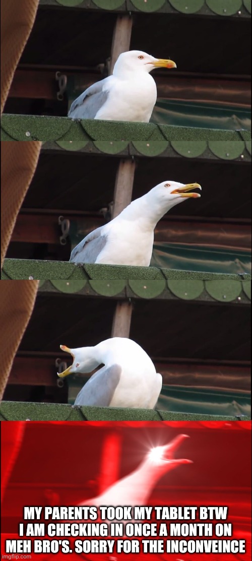 Inhaling Seagull | MY PARENTS TOOK MY TABLET BTW I AM CHECKING IN ONCE A MONTH ON MEH BRO'S. SORRY FOR THE INCONVEINCE | image tagged in memes,inhaling seagull | made w/ Imgflip meme maker