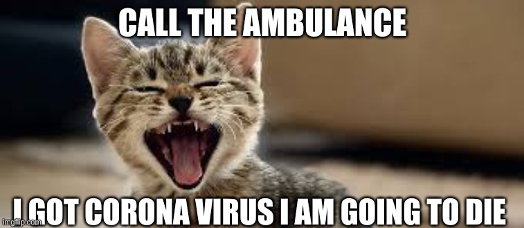 covid-19 | CALL THE AMBULANCE; I GOT CORONA VIRUS I AM GOING TO DIE | image tagged in covid-19 | made w/ Imgflip meme maker