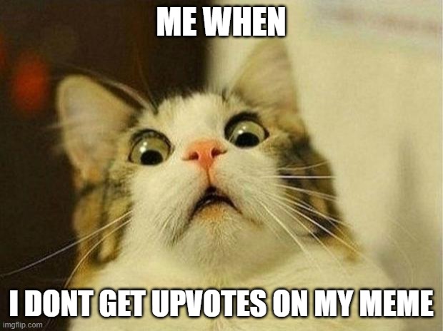 Scared Cat Meme | ME WHEN; I DONT GET UPVOTES ON MY MEME | image tagged in memes,scared cat | made w/ Imgflip meme maker