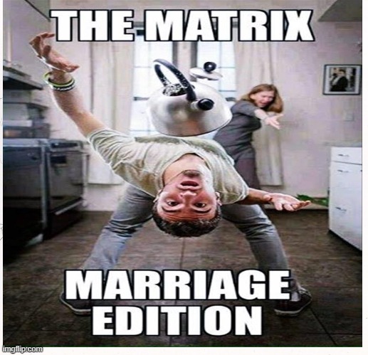 The Matrix | image tagged in the matrix,funny,lol,marriage,fun,dodge | made w/ Imgflip meme maker
