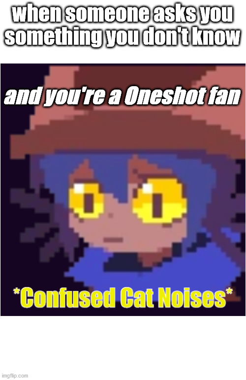 confused cat noises | when someone asks you
something you don't know; and you're a Oneshot fan | image tagged in confused cat noises | made w/ Imgflip meme maker