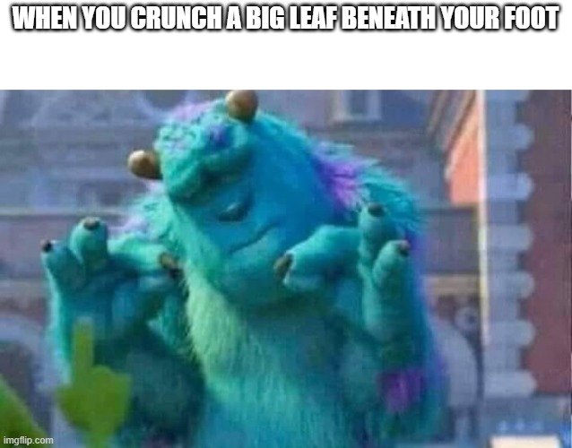 Sully shutdown | WHEN YOU CRUNCH A BIG LEAF BENEATH YOUR FOOT | image tagged in sully shutdown | made w/ Imgflip meme maker