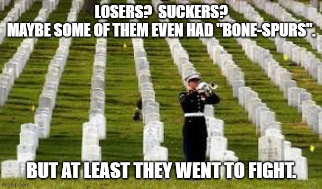 Military Cemetary | LOSERS?  SUCKERS?
MAYBE SOME OF THEM EVEN HAD "BONE-SPURS". BUT AT LEAST THEY WENT TO FIGHT. | image tagged in military cemetary | made w/ Imgflip meme maker